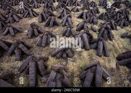 Maschinell geschnittener Rasen trocknet in der riesigen Landschaft des Nordwestirlands. Stockfoto