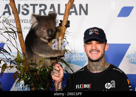 Phillip Island, Australien. 13. Oktober 2022. Pressekonferenz vor dem Animoca Brands Australian Grand Prix der MotoGP auf dem Phillip Island Circuit. 13. Oktober 2022 in Bild: Canet mit Koala Rueda de prensa previa al Gran Premio de MotoGP de Australia en el Circuito Internacional de Phillip Island. 13 de Octubre de 2022 POOL/ MotoGP.com/Cordon die Pressebilder sind nur für redaktionelle Zwecke bestimmt. Obligatorischer Kredit: © motogp.com Kredit: CORDON PRESS/Alamy Live News Stockfoto