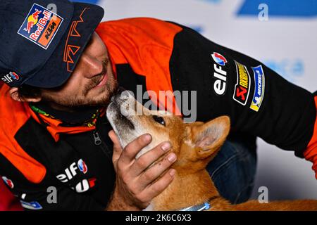 Phillip Island, Australien. 13. Oktober 2022. Pressekonferenz vor dem Animoca Brands Australian Grand Prix der MotoGP auf dem Phillip Island Circuit. 13. Oktober 2022 in Bild: Gardner mit Dingo Rueda de prensa previa al Gran Premio de MotoGP de Australia en el Circuito Internacional de Phillip Island. 13 de Octubre de 2022 POOL/ MotoGP.com/Cordon die Pressebilder sind nur für redaktionelle Zwecke bestimmt. Obligatorischer Kredit: © motogp.com Kredit: CORDON PRESS/Alamy Live News Stockfoto