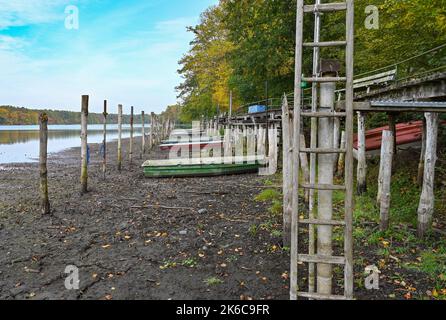 Strausberg, Deutschland. 13. Oktober 2022. Fast zwei Meter von den Booten, die an der Südspitze des Straussees längst trocken sind, ist ein Steg entfernt. Seit Jahren sinkt der Straussee östlich von Berlin stetig. Quelle: Patrick Pleul/dpa/Alamy Live News Stockfoto