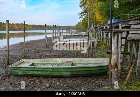 Strausberg, Deutschland. 13. Oktober 2022. Fast zwei Meter von den Booten, die an der Südspitze des Straussees längst trocken sind, ist ein Steg entfernt. Seit Jahren sinkt der Straussee östlich von Berlin stetig. Quelle: Patrick Pleul/dpa/Alamy Live News Stockfoto