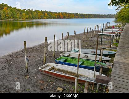 Strausberg, Deutschland. 13. Oktober 2022. Fast zwei Meter von den Booten, die an der Südspitze des Straussees längst trocken sind, ist ein Steg entfernt. Seit Jahren sinkt der Straussee östlich von Berlin stetig. Quelle: Patrick Pleul/dpa/Alamy Live News Stockfoto