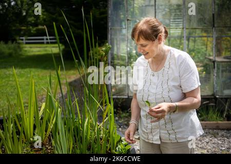 Catherine O'Connell, Direktorin des Irish Peatland Conservation Council. Ziel der Organisation ist es, einige der irischen Torfmoore für die Zukunft zu erhalten. Stockfoto