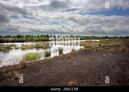 Industrielle Torfgewinnung auf Torfmooren in den Midlands von Irland. Das gehört nun fast der Vergangenheit an, alle mit Rasen befeuerten Kraftwerke sind geschlossen. Stockfoto