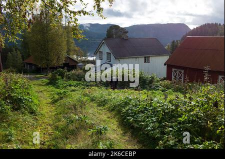 Ein traditionelles Holzhaus in der norwegischen Landschaft Stockfoto