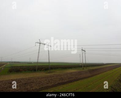 Elektrische Pole im Feld. Stockfoto