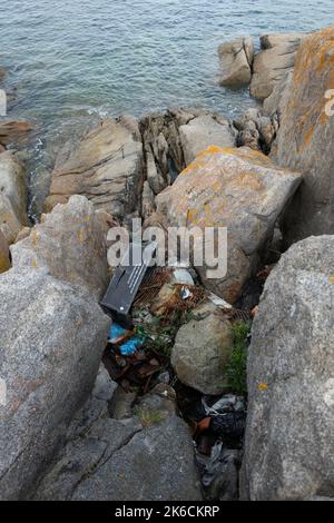 Meeresverschmutzung und Fischabfälle, die auf den Felsen im Bulloch Harbour Dalkey in der Nähe von Dublin Irland aufgespült wurden Stockfoto