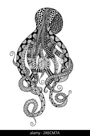 Doodle-Krake-Skizze. Handgezeichnetes Tintenfisch-Tier-Bild. Malseite, Poster oder Karte, T-Shirt-Print, Restaurant-Menü. Nautisches Vintage-Design Abb. Stockfoto