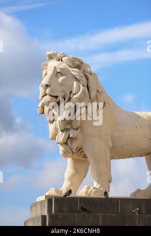 Nahaufnahme der Löwenstatue am Südufer, die in der Sonne auf der Treppe der Westminster Bridge zum Südufer gefangen ist. Stockfoto