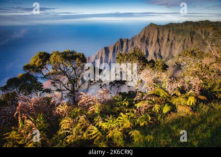 Wolken steigen entlang der Napali-Küste von Kauai, Hawaii, an den Hängen auf. Stockfoto