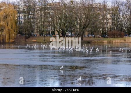 Tongrubenteich im Szczesliwicki Park im Stadtteil Ochota in Warschau, der Hauptstadt Polens Stockfoto