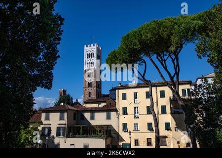 Lucca Kathedrale von San Martino Toskana Italien September 2022 Außenansicht von der Stadtmauer aus gesehen Kathedrale von San Martino. Kathedrale von Lucca, Duomo di LuCC Stockfoto