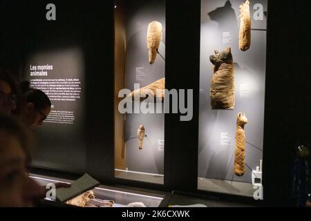 Tierische Mumien, vor allem von Katzen. Die Ausstellung „Mumien – bewahrte Körper, ewige Körper“ öffnet ihre Türen im Naturhistorischen Museum in Toulouse (Frankreich). Während der gesamten Geschichte der Menschheit und über die traditionellen ägyptischen Mumien hinaus, waren diese Begräbnisse, Canibale oder zufällige Riten in verschiedenen Regionen der Welt und mit verschiedenen Praktiken präsent: "Künstliche" Mumien, die vom Menschen geschaffen wurden, aber auch "natürliche" Mumien, die in Permafrost, Torf, Salz oder Bernstein und "wissenschaftliche" Mumien aufbewahrt wurden. Eine Ausstellung vom Oktober 22, die das Verhältnis zu Tod und Zeit hinterfragt, RE Stockfoto