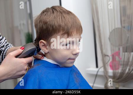 Netter kleiner europäischer Junge, der im Friseurladen Frisur bekommt. Friseur macht eine Frisur für einen Jungen. Stockfoto