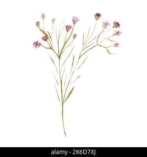 Niedliche und schöne rosa Blumen Aquarell Illustration Stockfoto