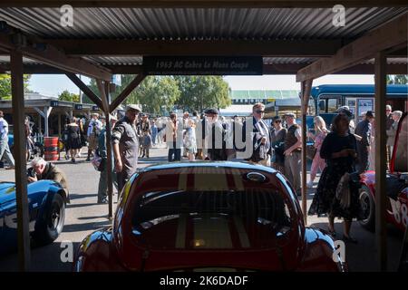 Ein Teilnehmer des AC Cobra Le Mans Coupe RAC TT-Jubiläums 1963 im Fahrerlager beim BARC Revival Meeting, Goodwood Motorrennstrecke, Chichester, Großbritannien Stockfoto