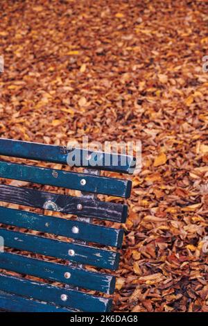 Leere verfallene Holzbank in einem Park gegen entkochte Herbstblätter, die gelb, orange und rot fallen. Stockfoto