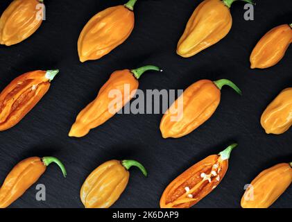 Draufsicht auf scharfe orange Chilischoten, bhut Jolokia, auf schwarzem Schieferhintergrund, diagonale Anordnung der heißesten Chilischoten der Welt Stockfoto