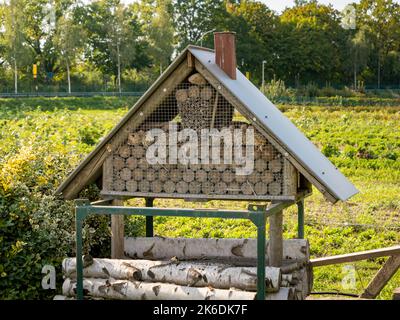 Insektenhotel in einer ländlichen Gegend. Insektenhaus als eine Struktur, um Schutz für kleine Insekten zu bieten. Verschiedene Formen mit verschiedenen Größen für Bienen und Wanzen Stockfoto