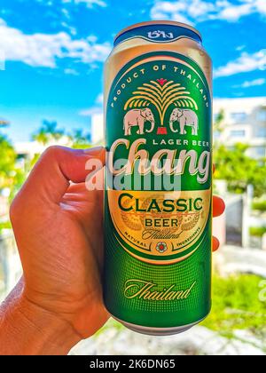 Thai Chang Bier in der Hand im tropischen Paradies, aber in Playa del Carmen Quintana Roo Mexiko. Stockfoto