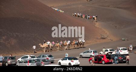 Kamelreiten, Nationalpark Timanfaya, Lanzarote, Kanarische Inseln. Mehrere hundert Kamele werden in der Gegend von Timanfaya gehalten und zum Kamelreiten verwendet Stockfoto