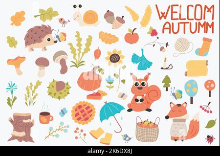 Herbst niedliches Set im flachen Cartoon-Design. Laubbündel, Igel, Schnecke, Eichel, Apfel, beere, Socken, Schal, Sonnenblume, Kürbis, Pilze, Blumen Stock Vektor