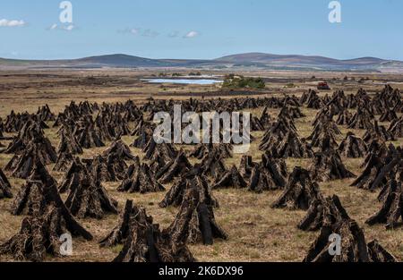 Maschinell geschnittener Rasen trocknet in der riesigen Landschaft des Nordwestirlands. Stockfoto