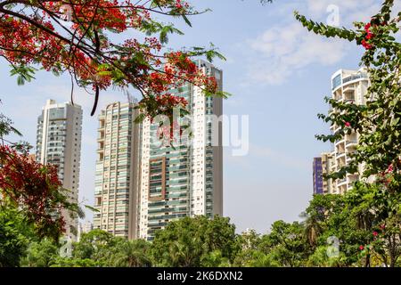 Goiânia, Goias, Brasilien – 09. Oktober 2022: Einige Wohngebäude zwischen Bäumen und mit dem blauen Himmel im Hintergrund. Stockfoto