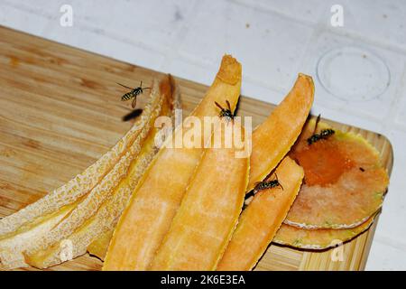 Wespen essen Honig mellon Stockfoto