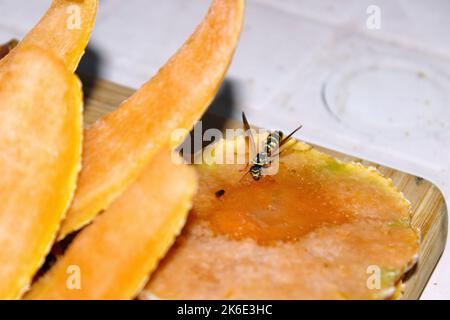 Wespen essen Honig mellon Stockfoto