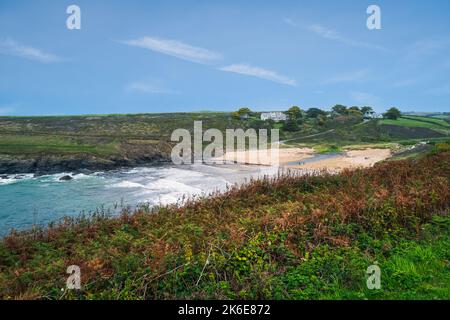 Poldhu Cove, ein geschützter Sandstrand an der Westküste der Halbinsel Lizard in Cornwall, Großbritannien Stockfoto