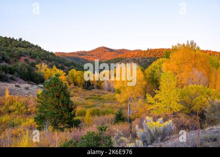 Santa Fe Canyon Preserve, New Mexico, USA, Herbstfarben, Blätter werden im Herbst, Oktober gelb Stockfoto