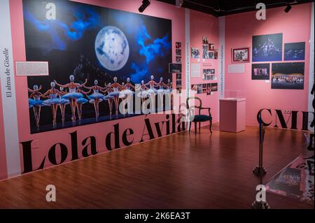 „Swans“-Ausstellung über klassisches Ballett im Centro de Historias, Zaragoza, Spanien Stockfoto