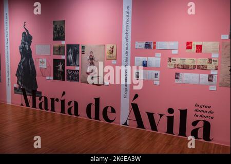 „Swans“-Ausstellung über klassisches Ballett im Centro de Historias, Zaragoza, Spanien Stockfoto