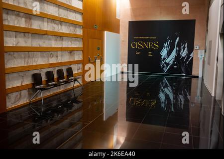 „Swans“-Ausstellung über klassisches Ballett im Centro de Historias, Zaragoza, Spanien Stockfoto