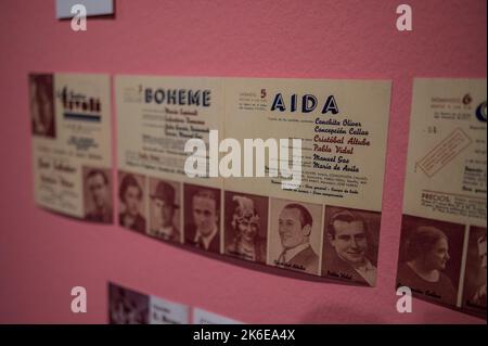 „Swans“-Ausstellung über klassisches Ballett im Centro de Historias, Zaragoza, Spanien Stockfoto