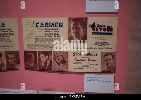 „Swans“-Ausstellung über klassisches Ballett im Centro de Historias, Zaragoza, Spanien Stockfoto