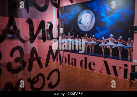 „Swans“-Ausstellung über klassisches Ballett im Centro de Historias, Zaragoza, Spanien Stockfoto