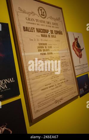 „Swans“-Ausstellung über klassisches Ballett im Centro de Historias, Zaragoza, Spanien Stockfoto