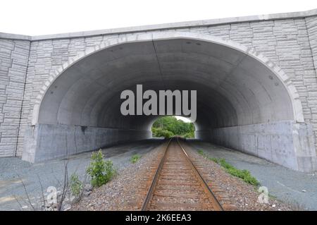 CN Railway (Dartmouth Subdivision), wo sie unter der neuen Erweiterung des Highway 107 (Burnside Expressway) in Dartmouth, Nova Scotia, verläuft Stockfoto