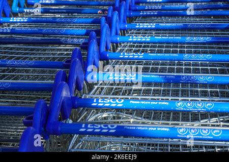 Reihen von Tesco Trolleys vor dem Supermarkt, London, England, Großbritannien, Großbritannien Stockfoto