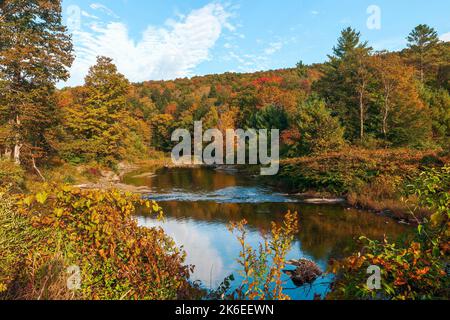 Farbenprächtiger Wald am Mad-Ufer im Herbst. Die Stadt Warren. Washington County. Vermont Stockfoto