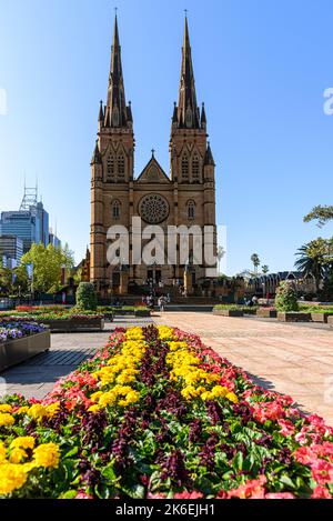 Die Hauptfassade der St Mary's Cathedral in Sydney, Australien Stockfoto