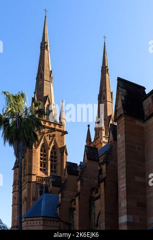 Seitenansicht der Kirchtürme der St Mary's Cathedral in Sydney, Australien Stockfoto