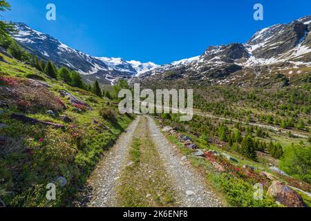 Landstraße in den Bergen, Nationalpark Stilfser Joch am klaren Himmel, italienische alpen Stockfoto