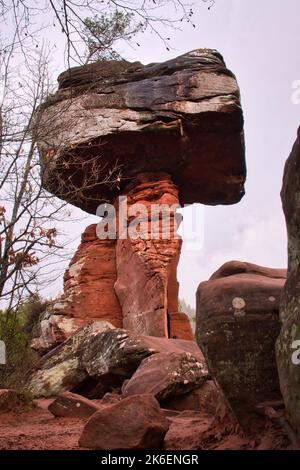 Rote Felsen am Fuße des Devil's Table, einer Felsformation im Pfälzer Wald in Deutschland an einem Wintertag. Stockfoto