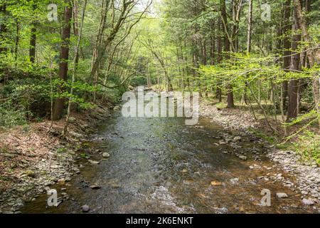 Dingmans Creek in Delaware Water Gap National Recreation Area, Pennsylvania. Stockfoto