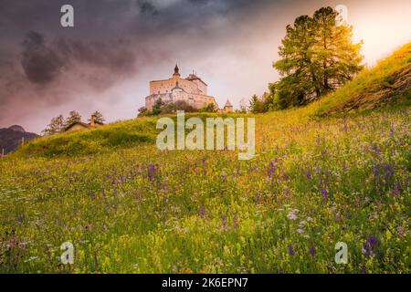 Tarasp mit bunten Wildblumen und Wiesen im Frühling, Engadin, Schweizer Alpen Stockfoto