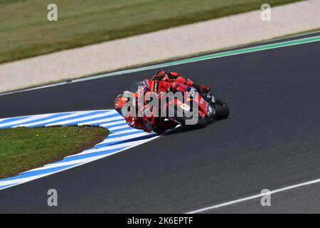 Melbourne, Australien. 14. Oktober 2022. Francesco Bagnaia, Fabrik Ducati schaffte 8. Position während des freitags freien Trainings unter trockenen Bedingungen auf dem Phillip Island Circuit für den Australian Motorcycle Grand Prix Stockfoto