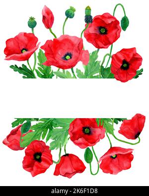 Aquarell handgezeichneter Rahmen aus Mohnblumen und Blättern. Botanische Illustration von roten Mohnblumen. Rand der Feldblume. Design für Verpackungen, Cover, Einladungen Stockfoto